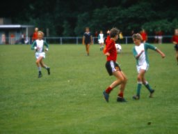0DIA1981 RAVAKAMP EN ZEIST C1